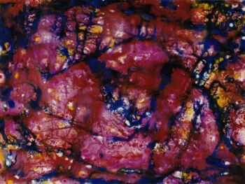 Underwater Cathedral, 1996
